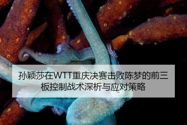 孙颖莎在WTT重庆决赛击败陈梦的前三板控制战术深析与应对策略