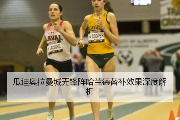 gua-di-ao-la-man-cheng-wu-feng-zhen-ha-lan-de-ti-bu-xiao-guo-shen-du-jie-xi-2-452.jpg
